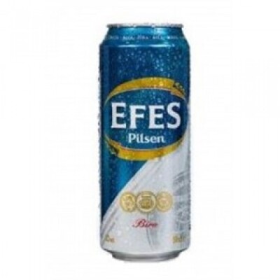 EFES KUTU BİRA 33 CL